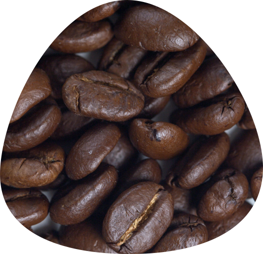 Medium-Dark Roast Coffee Guyana