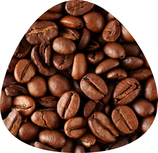 Medium Roast Coffee Guyana